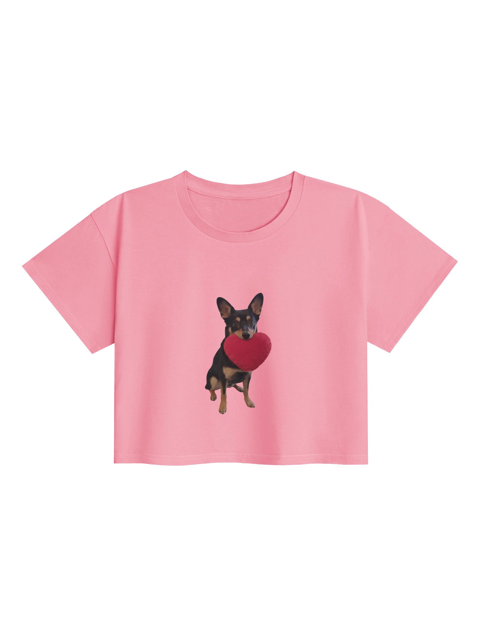 Titus Love product image (1)