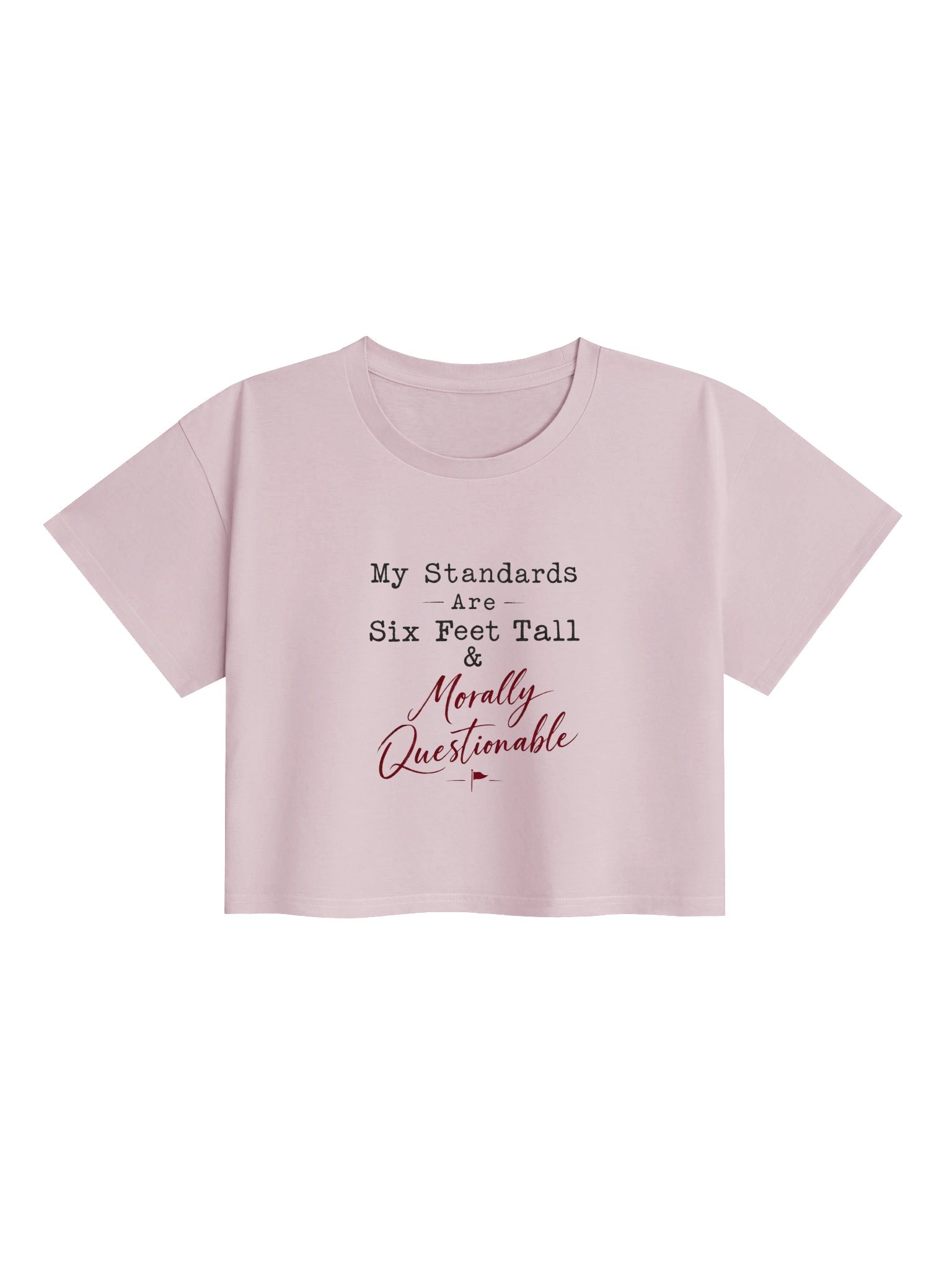 My Standards Are... - Crop Top product image (13)