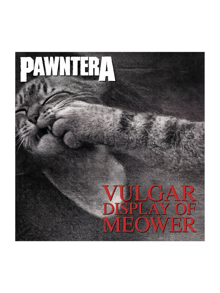 PAWNTERA VULGAR DISPLAY OF MEOWER KISS CUT STICKER product image (1)
