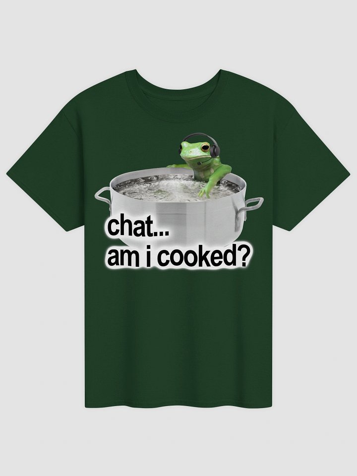 Chat Am I Cooked Frog T-shirt product image (2)