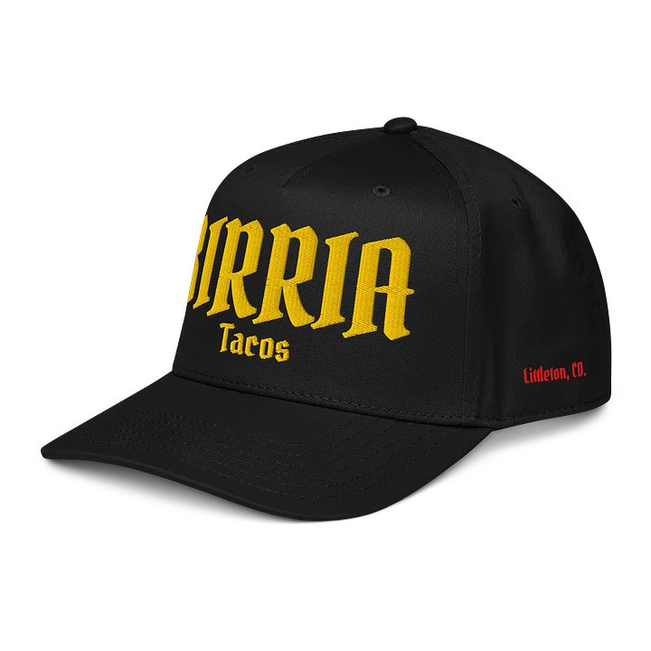 Birria Tacos Cap product image (2)