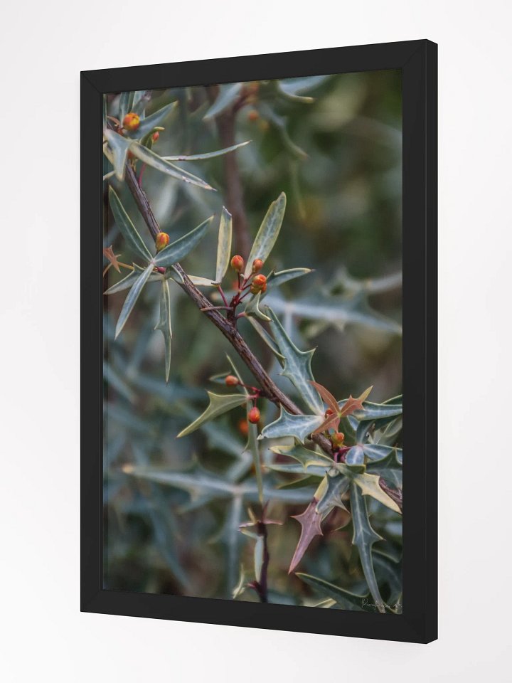 🌿Print Fine Art - Spikes and Secrets 🔒✨ product image (4)