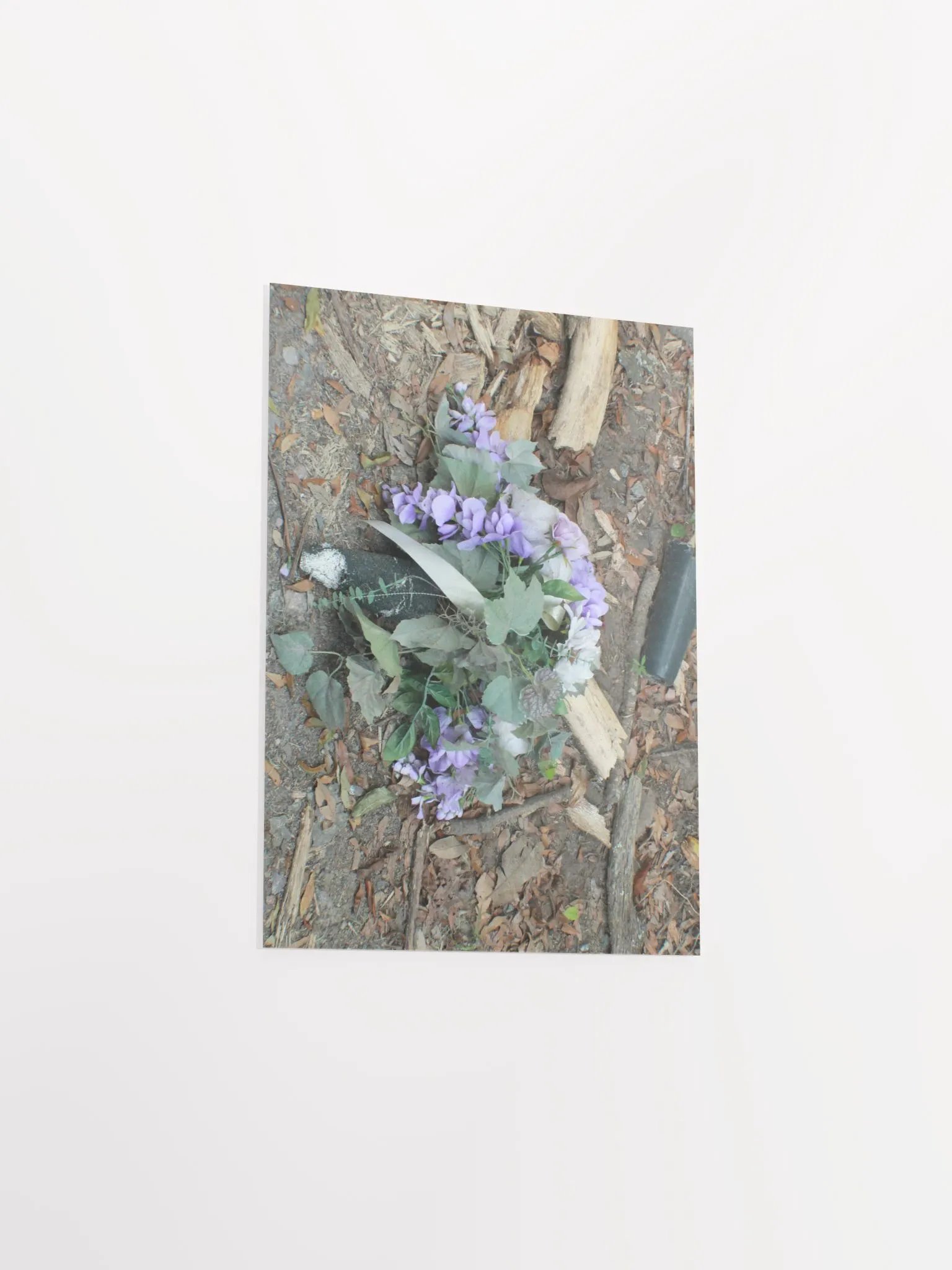 The Cockroach Named Hope product image (28)