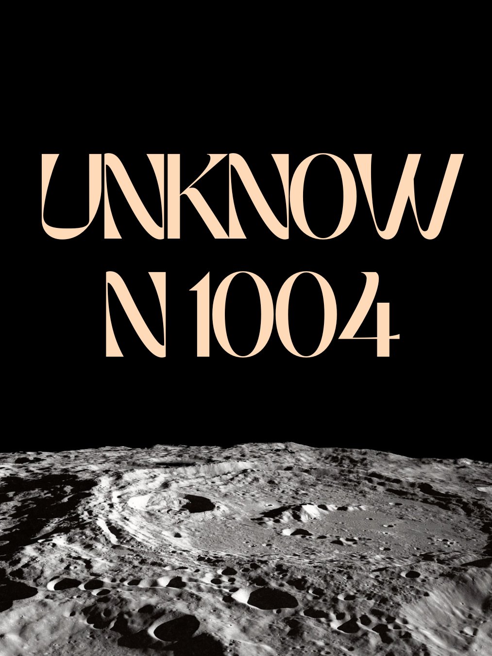 -UNKNOWN 1004- product image (1)