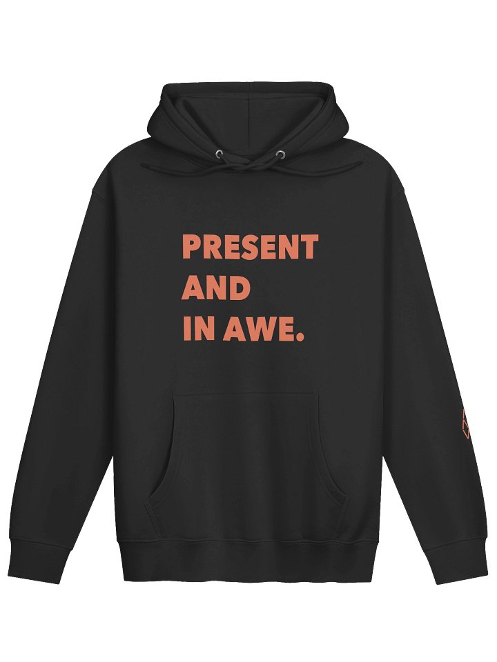 Present And In Awe Pullover Hoodie product image (1)