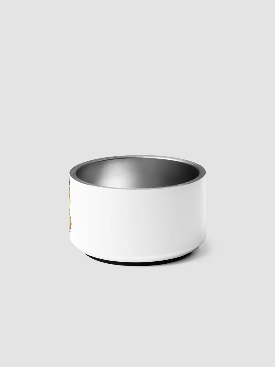 [Elbo Room Social Club] Pet Bowl product image (4)