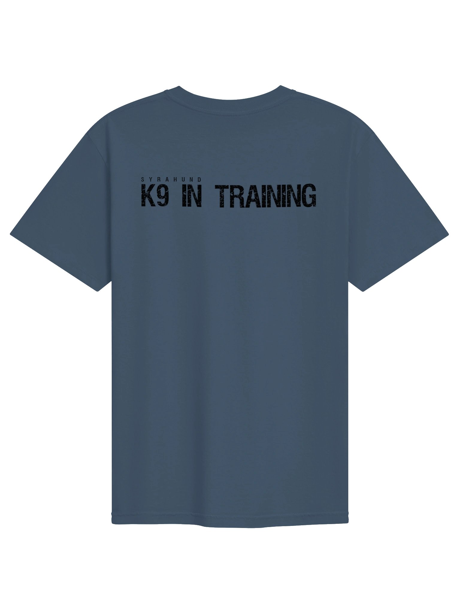 K9 IN TRAINING Comfort Colors Tee product image (2)