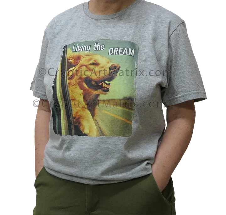 Dream Chaser Living the Dream - Unisex T-Shirt product image (25)