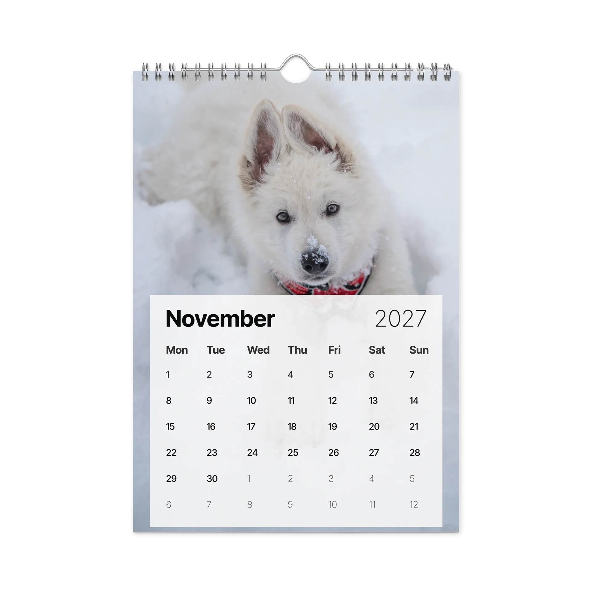 Lil Rasta Calendar 2027 product image (11)
