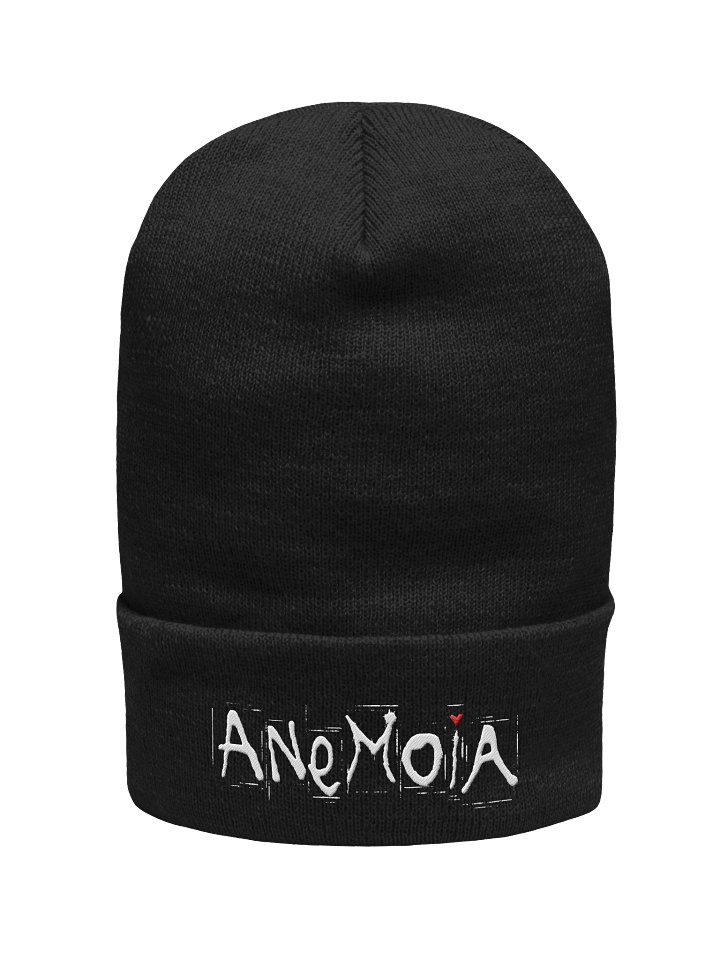 Anemoia Knit Hat product image (2)