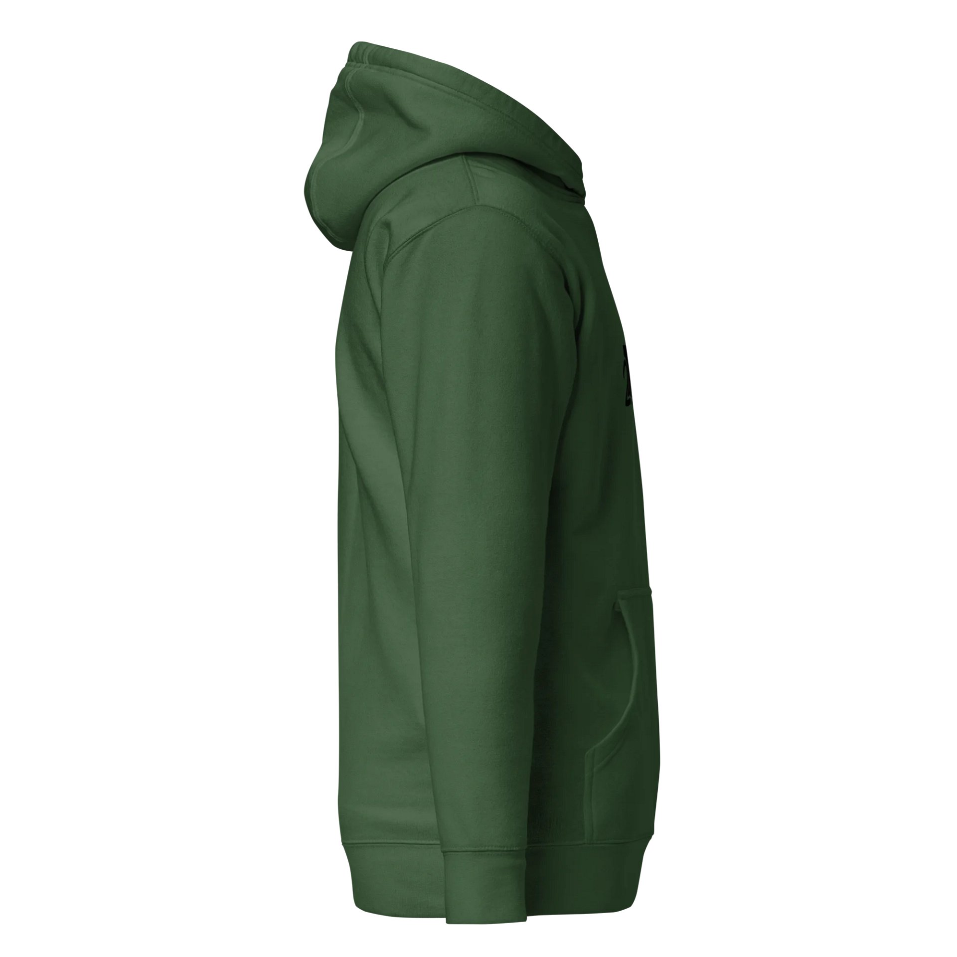 Forest Hoodie product image (3)
