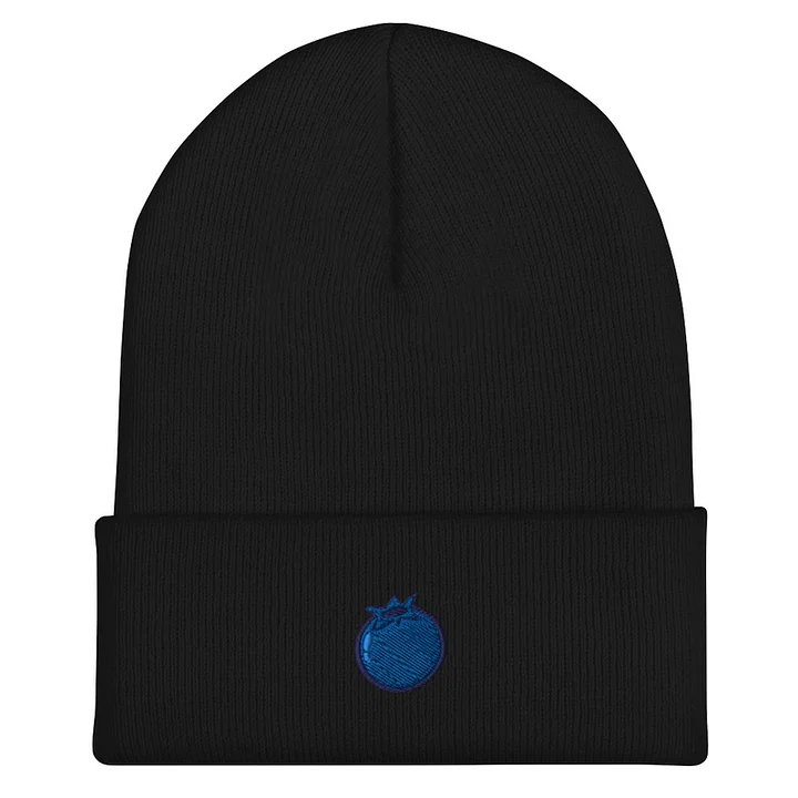 Blueberry Cuffed Beanie (Various Colors) product image (1)