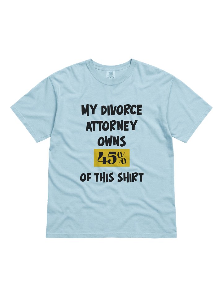 Attorney Owns This Shirt Tee product image (1)