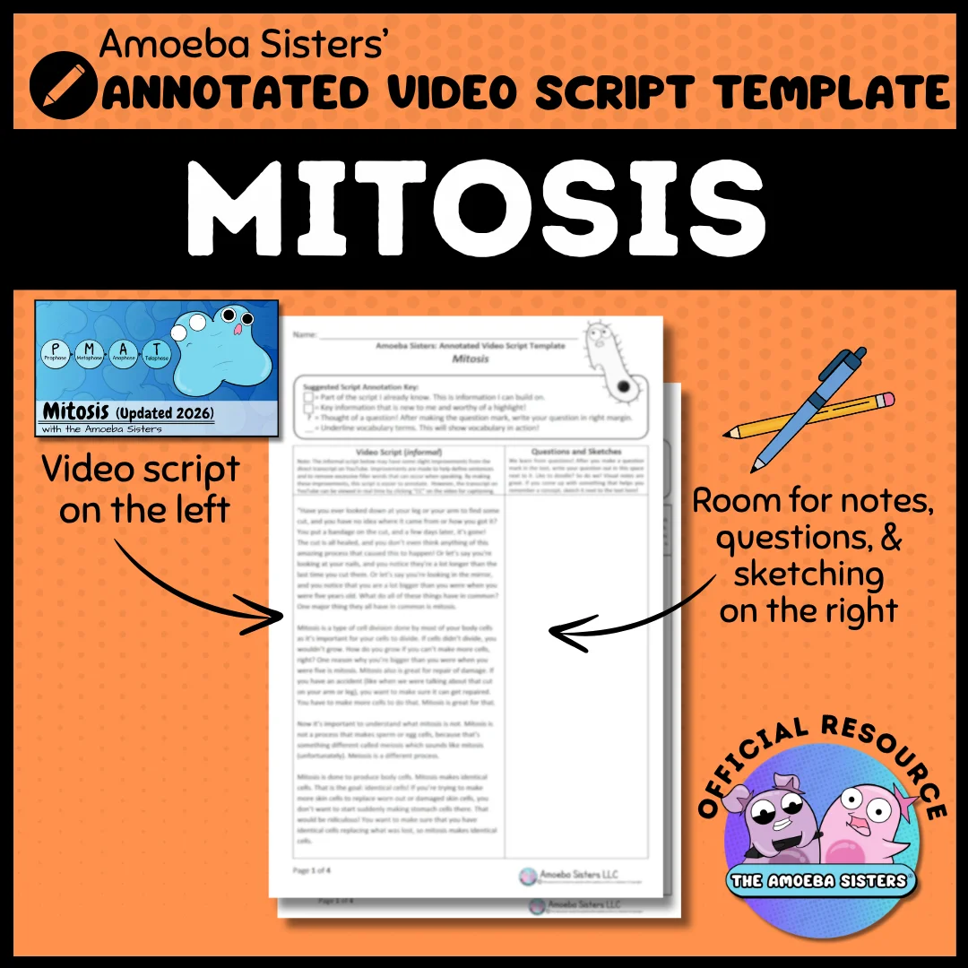 Amoeba Sisters Mitosis Annotated Video Script Template product image (1)
