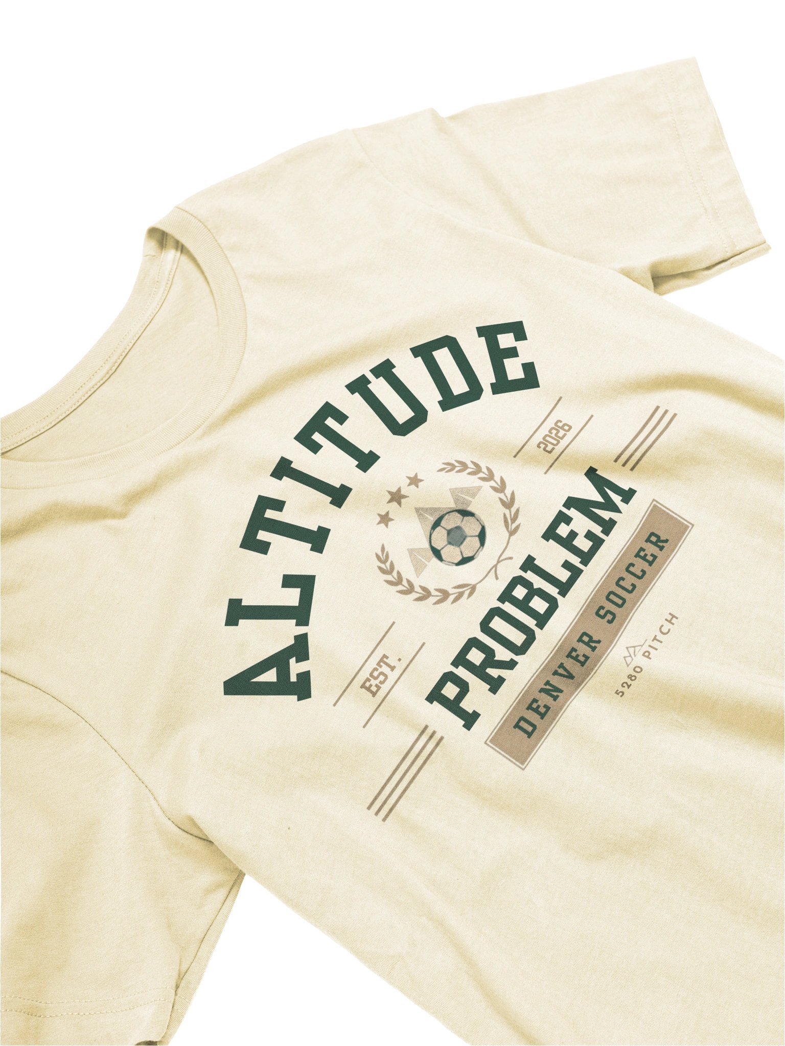 ALTITUDE PROBLEM TEE product image (15)