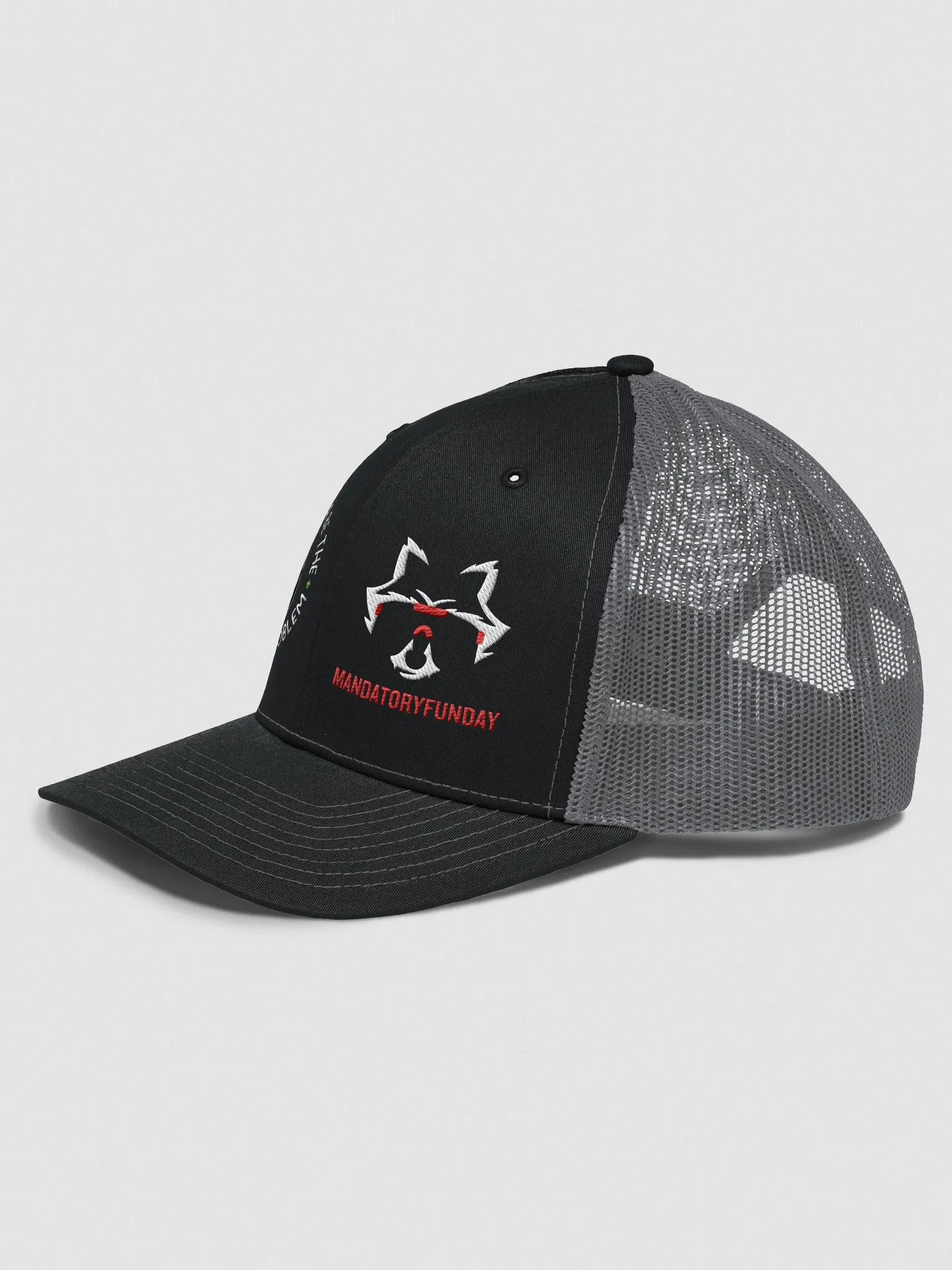 The Whole Problem Hat product image (2)