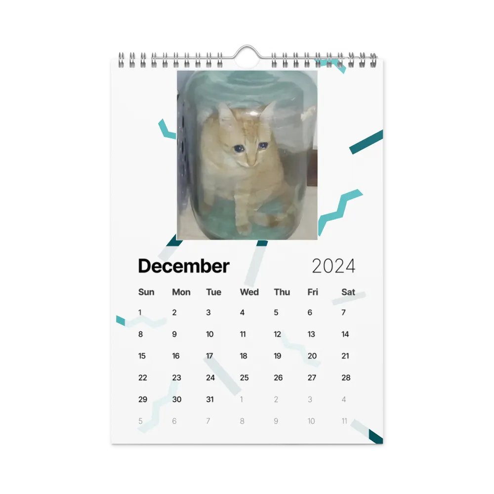 Wall Calendar (2024): Meme Cats product image (6)