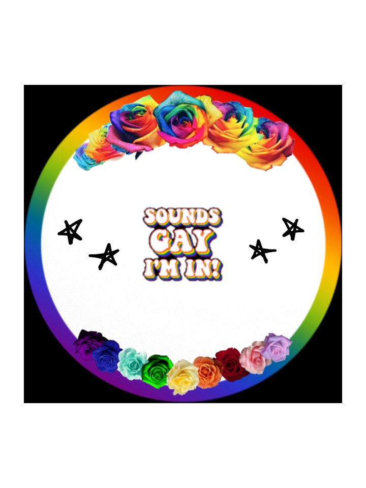 Sounds Gay I'm In! product image (1)