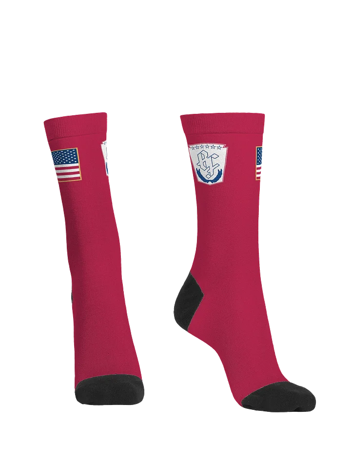 BF:AFC USA Kit Socks product image (2)