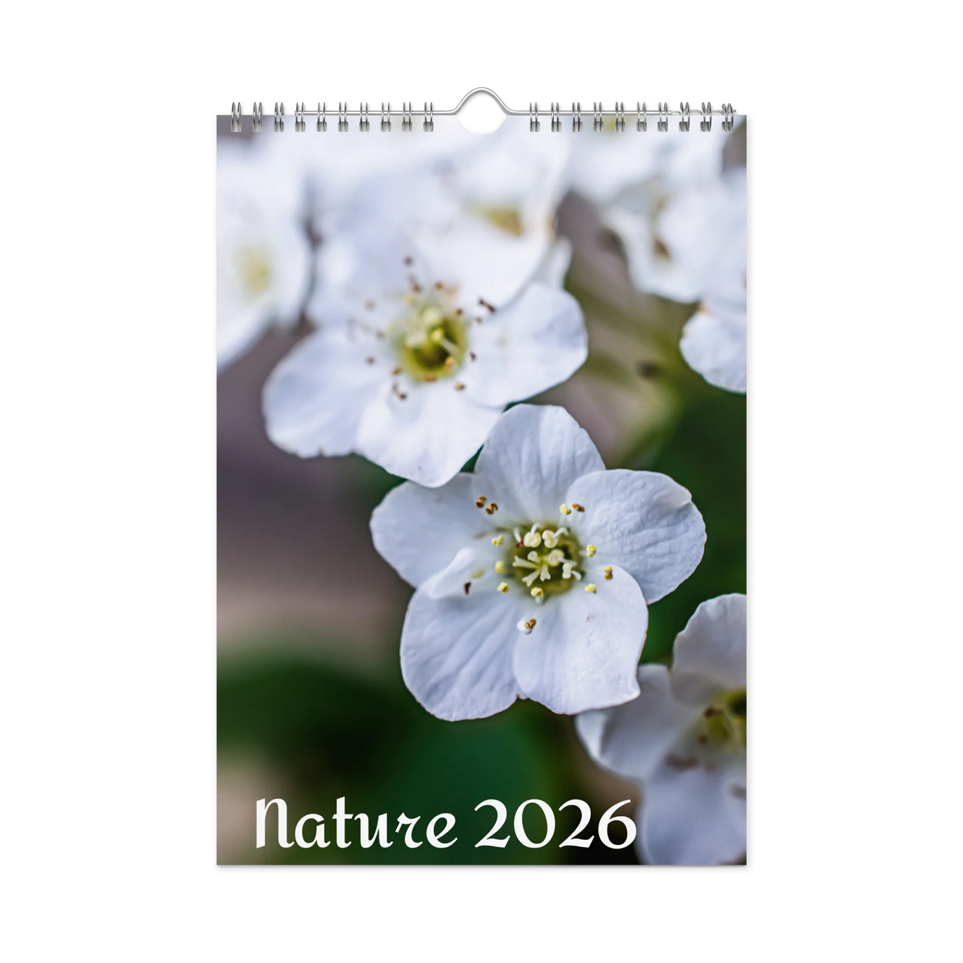 Nature 2026 product image (1)