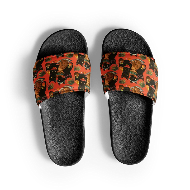 Cat Brigade summer 2 Slides product image (2)