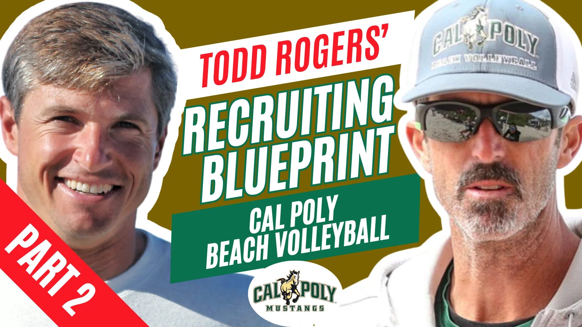 The Full Todd Rogers Masterclass Playbook product image (1)