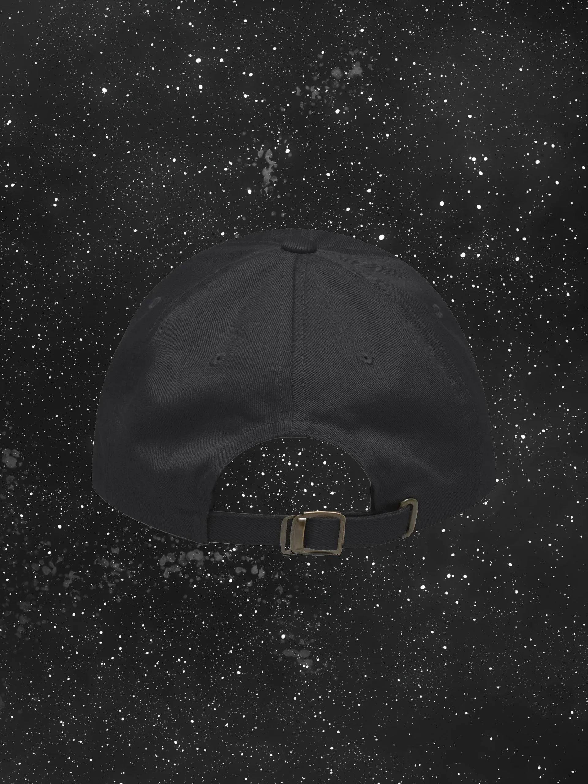 VP Lettered Embroidered Hat product image (2)