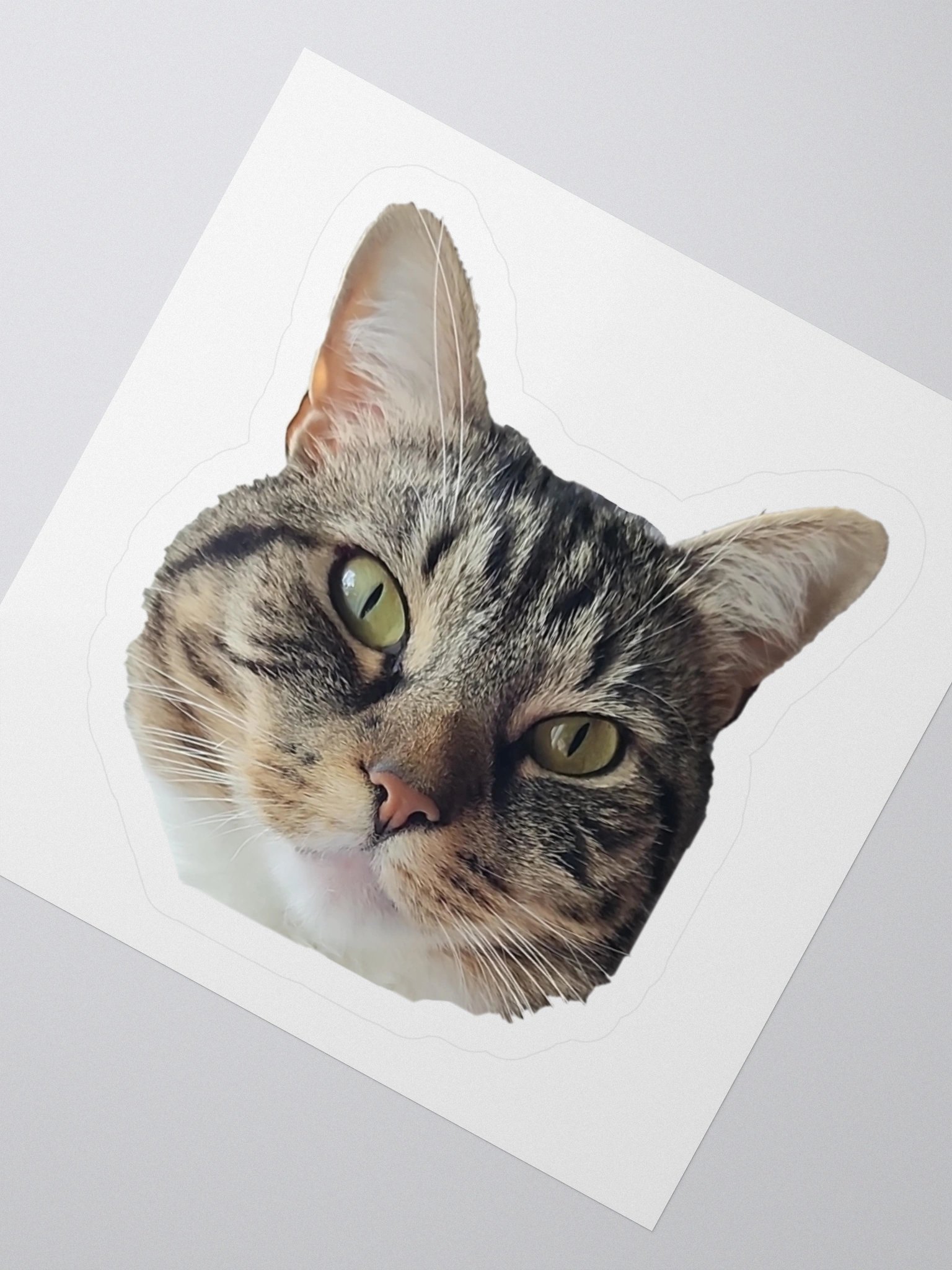 Machiko Face Sticker product image (5)