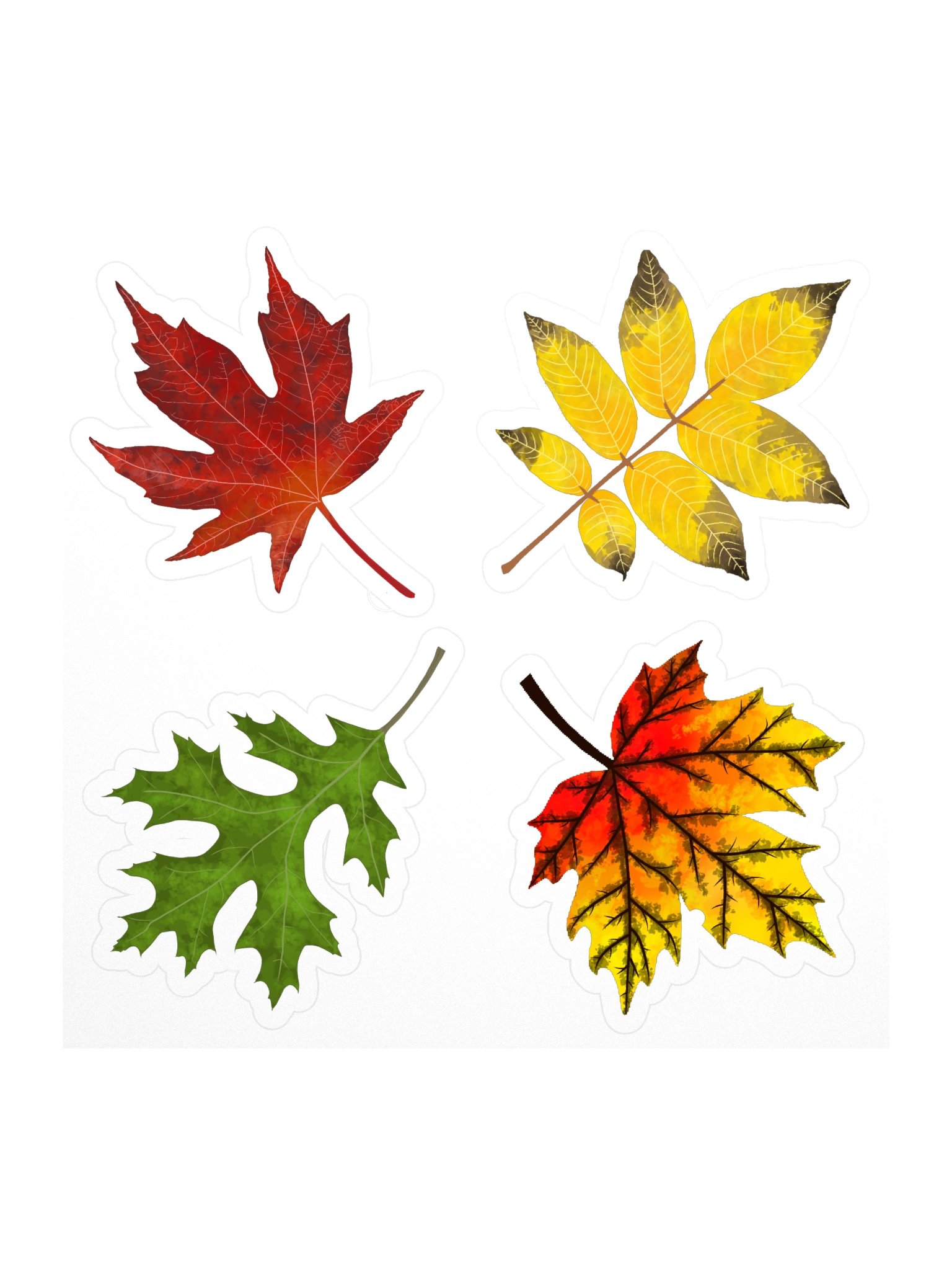 Fall Color Leaf Stickers product image (1)