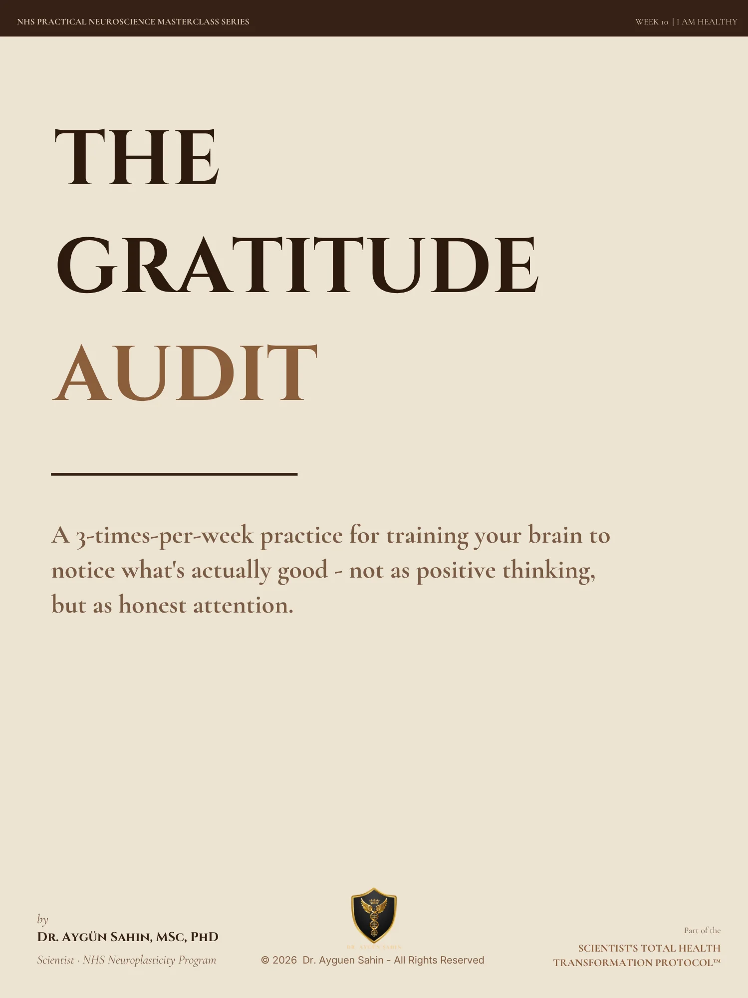 THE GRATITUDE AUDIT product image (1)
