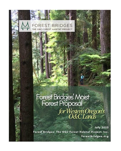 Forest Bridges 2026 Spring Newsletter: Springing into Action 🕶️