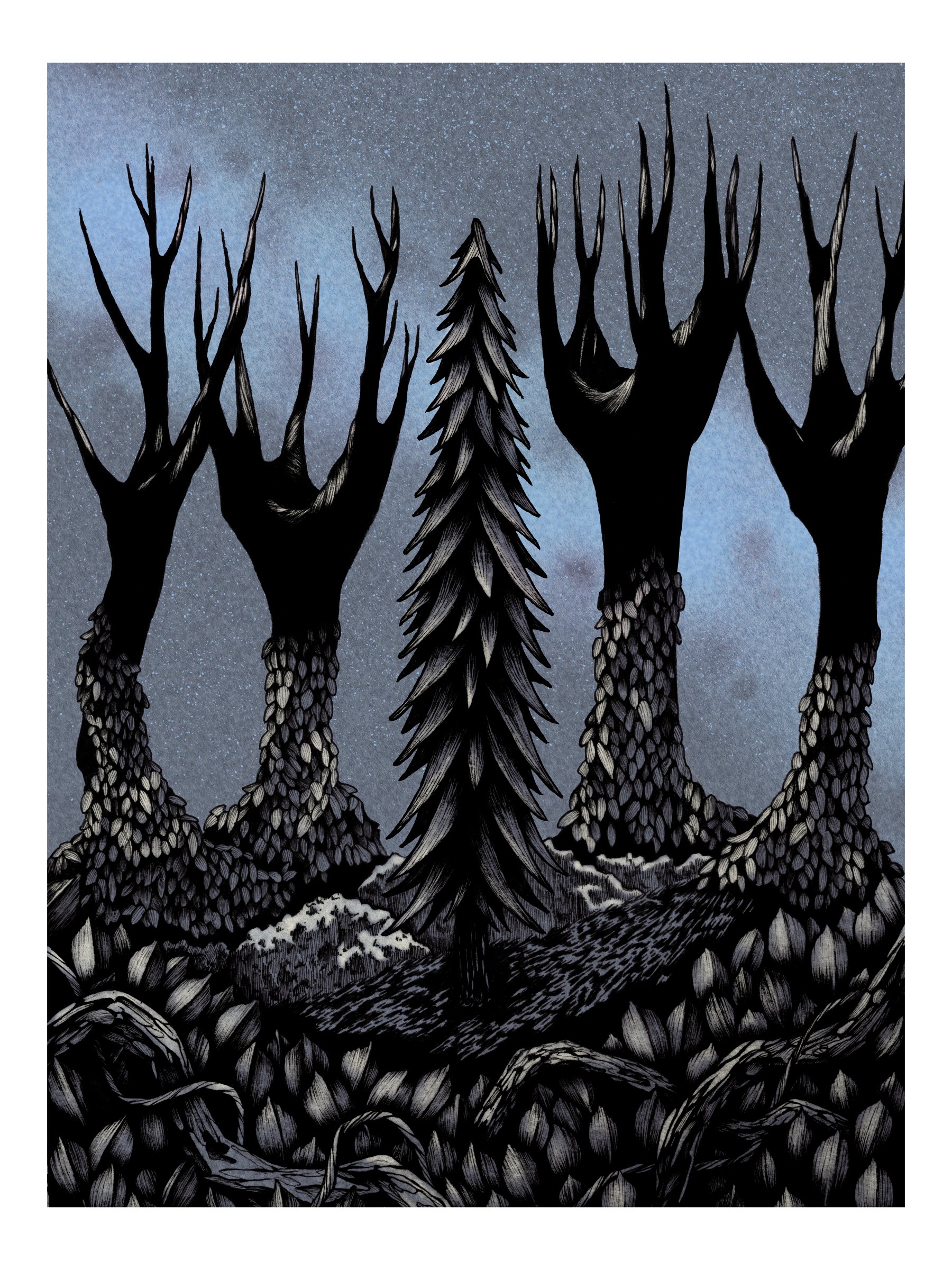 A Cold, Clear Night product image (1)