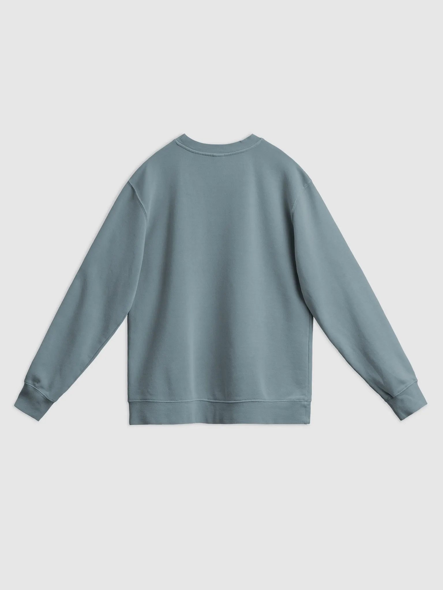 BUSY-BRAINED (sm. lined design) printed pigment crewneck product image (26)