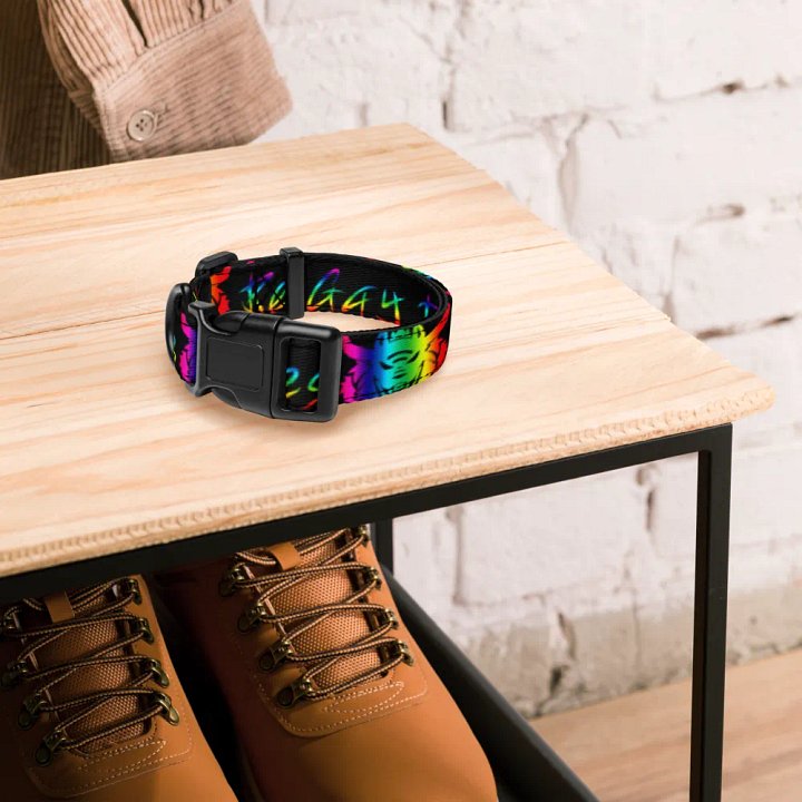 Be Gay Collar product image (2)