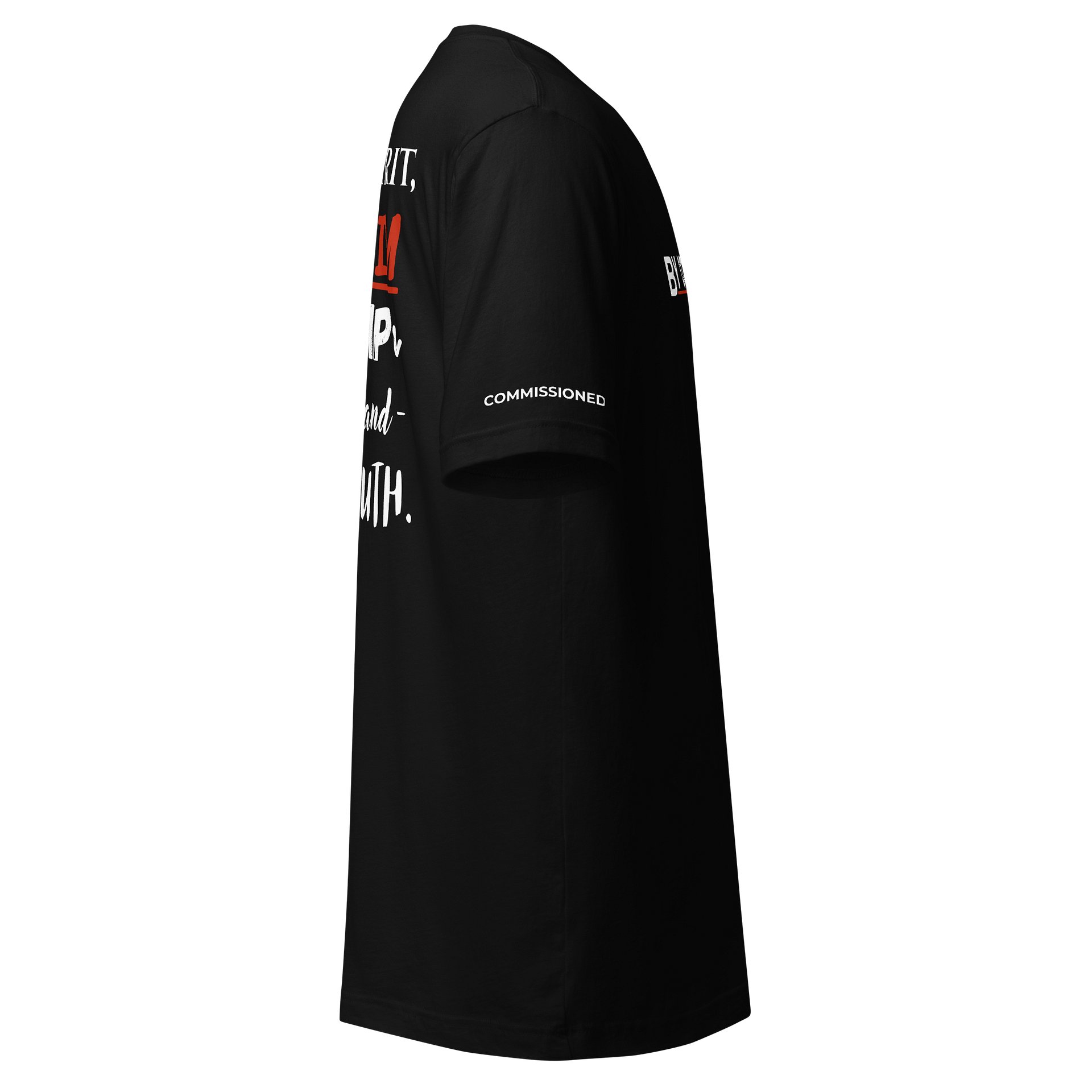 Commissioned T-Shirt product image (5)