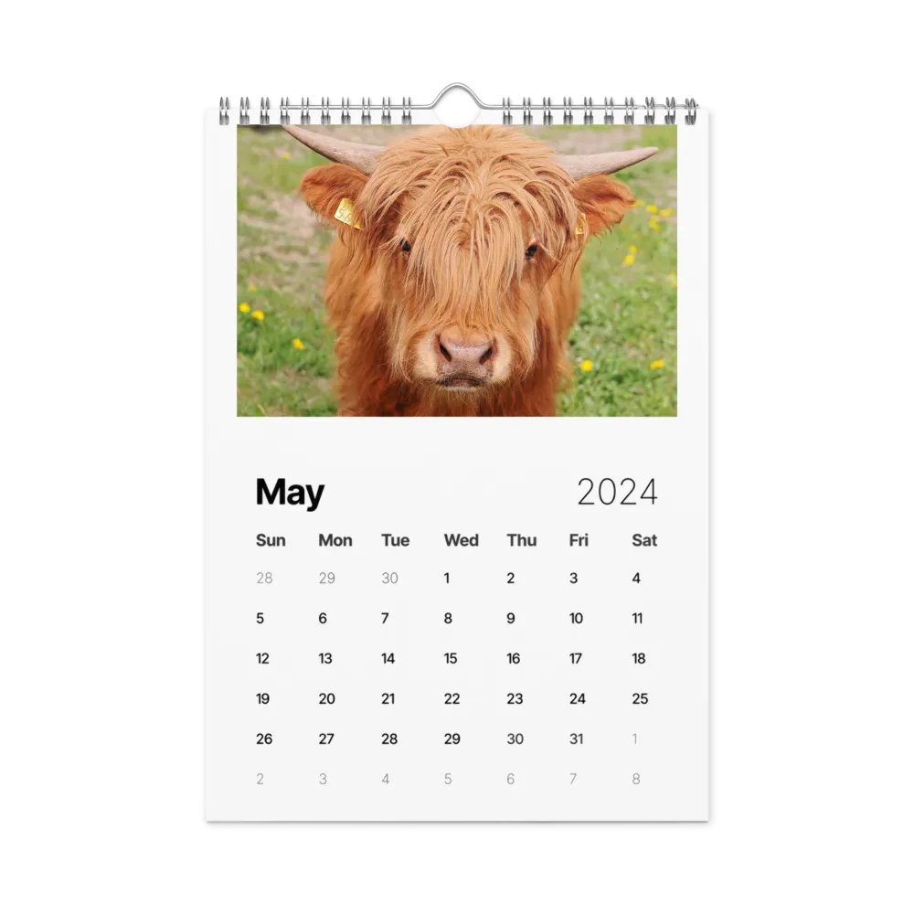 sunsmile year product image (10)