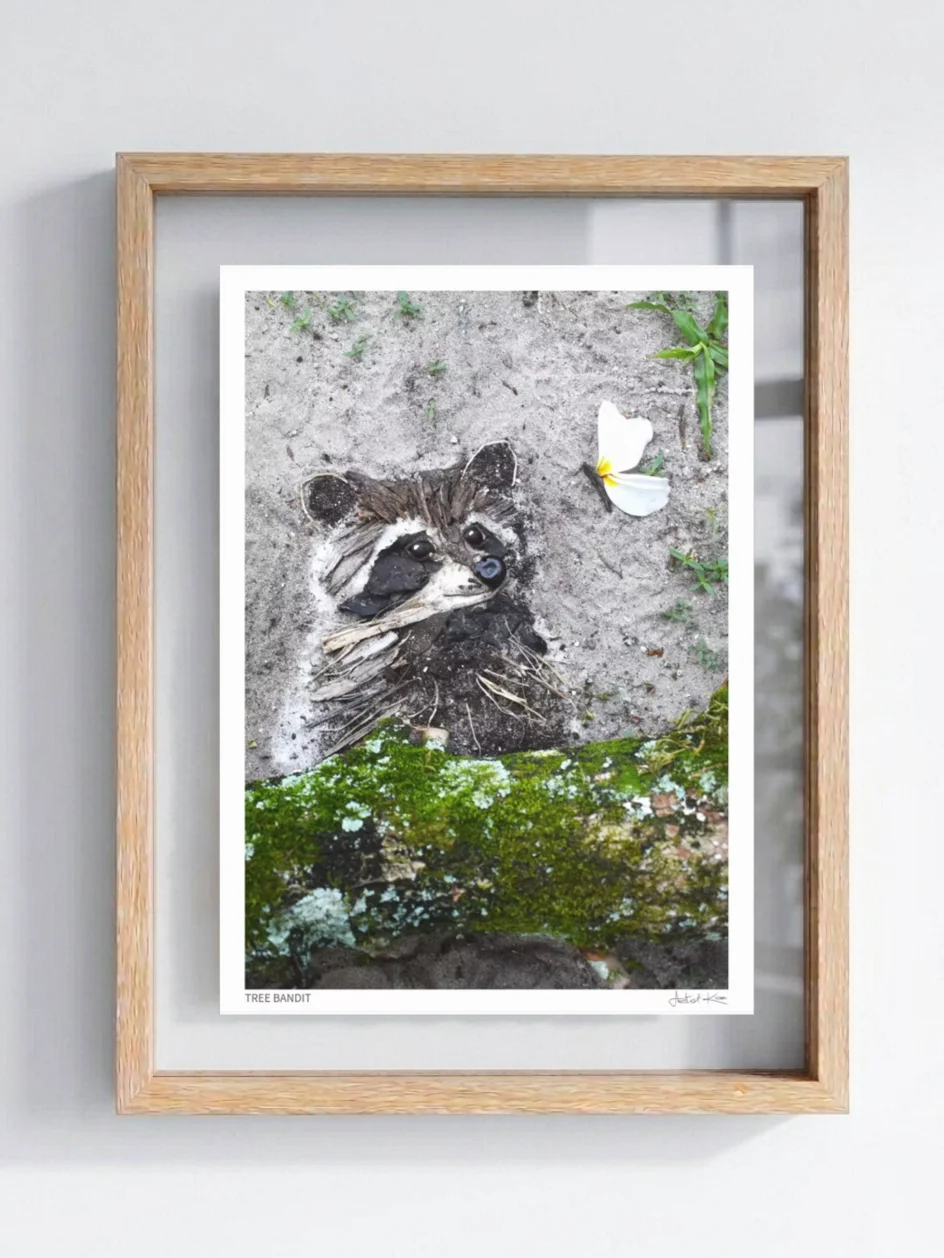 TREE BANDIT | Fine Art Print product image (6)