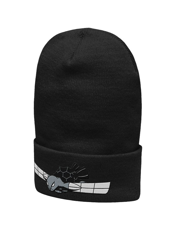 Beanie product image (2)