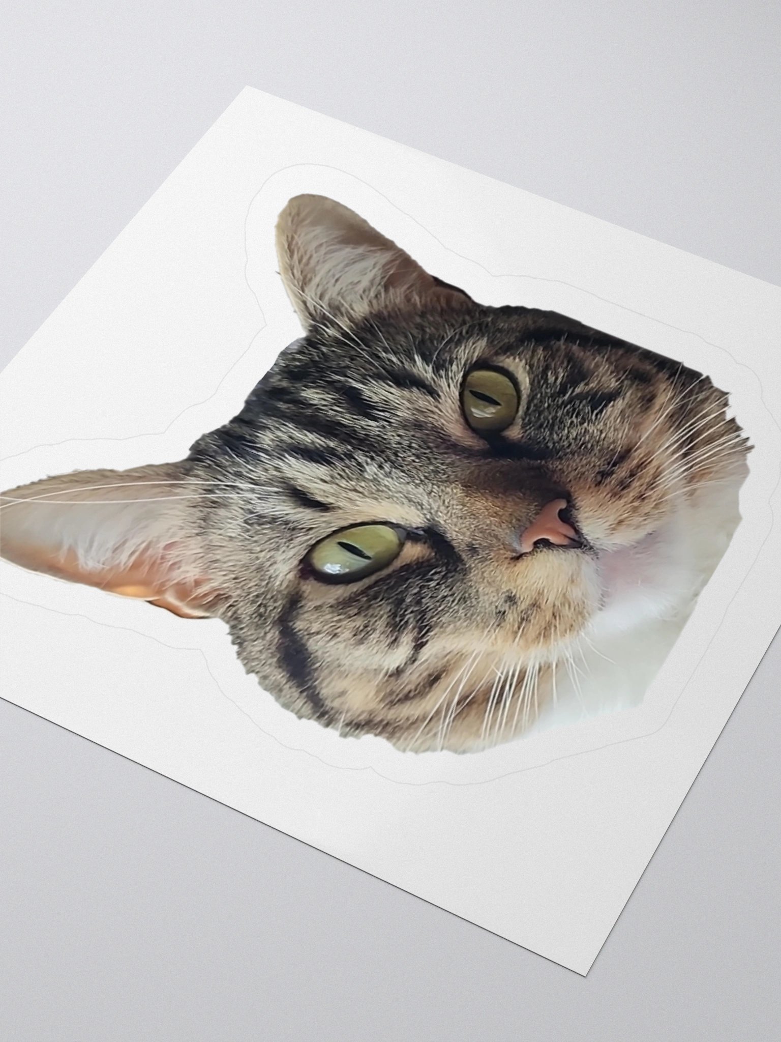 Machiko Face Sticker product image (8)