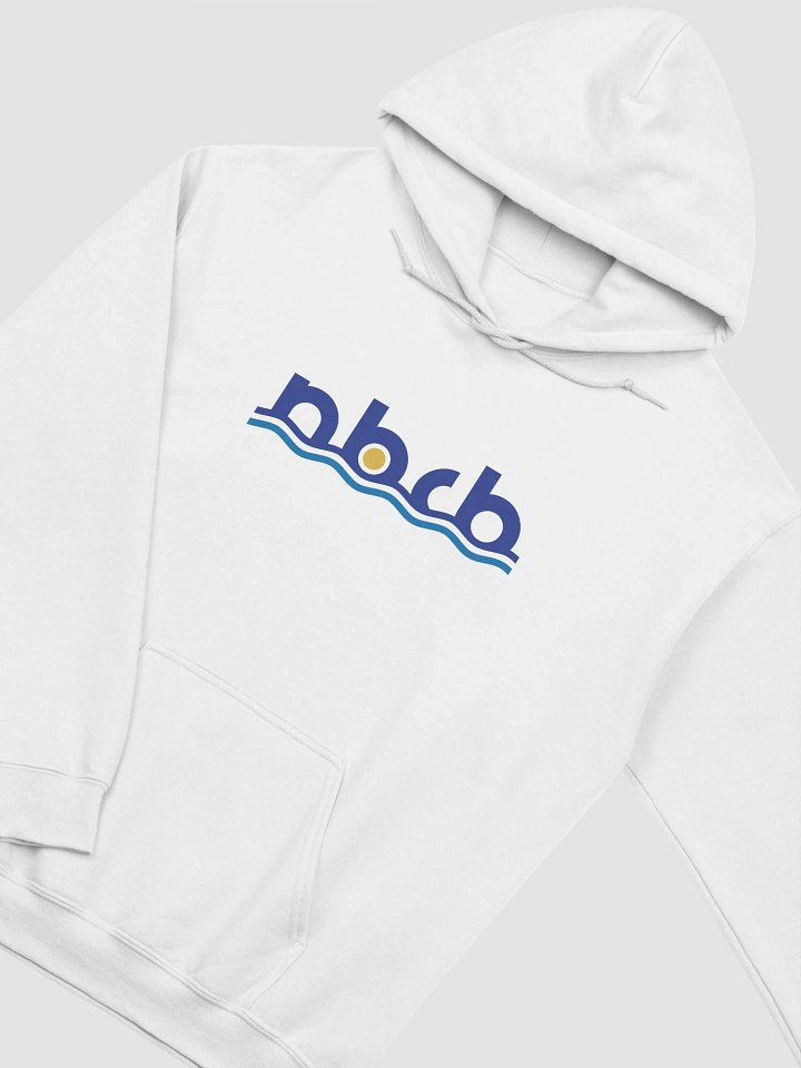 Classic Unisex Hoodie by Gildan - Acronym Logo in Color product image (9)
