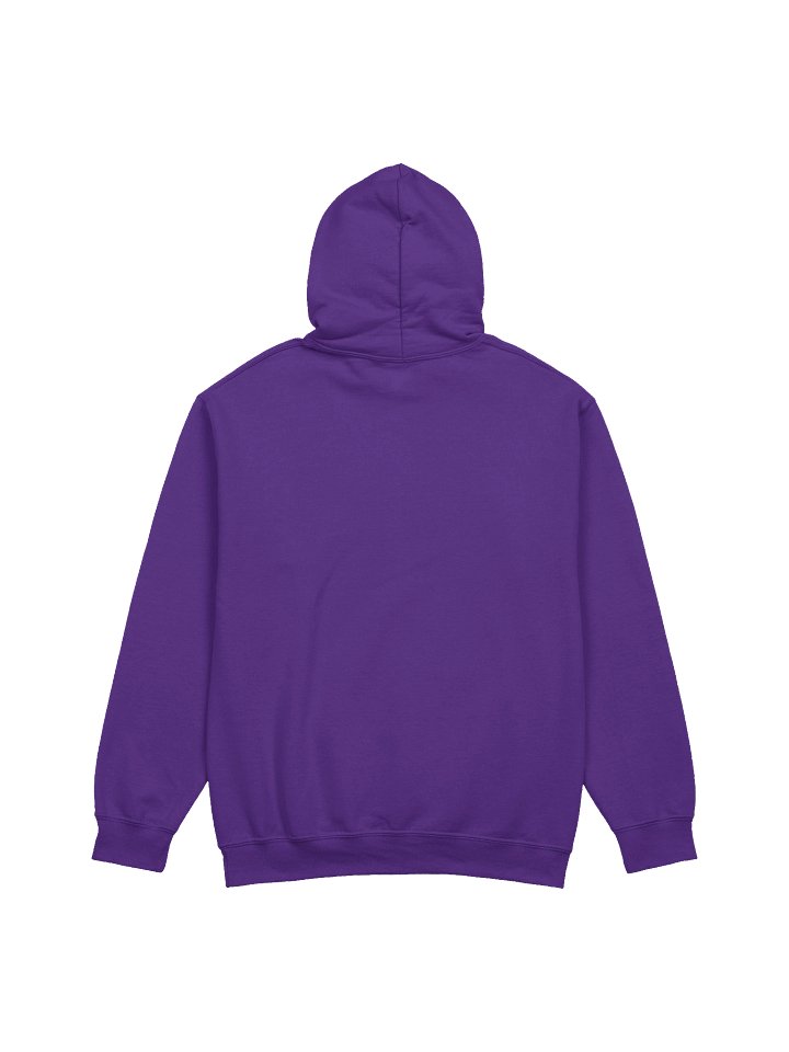 "IT'S A BIGBIRDWORLD" HOODIE product image (2)