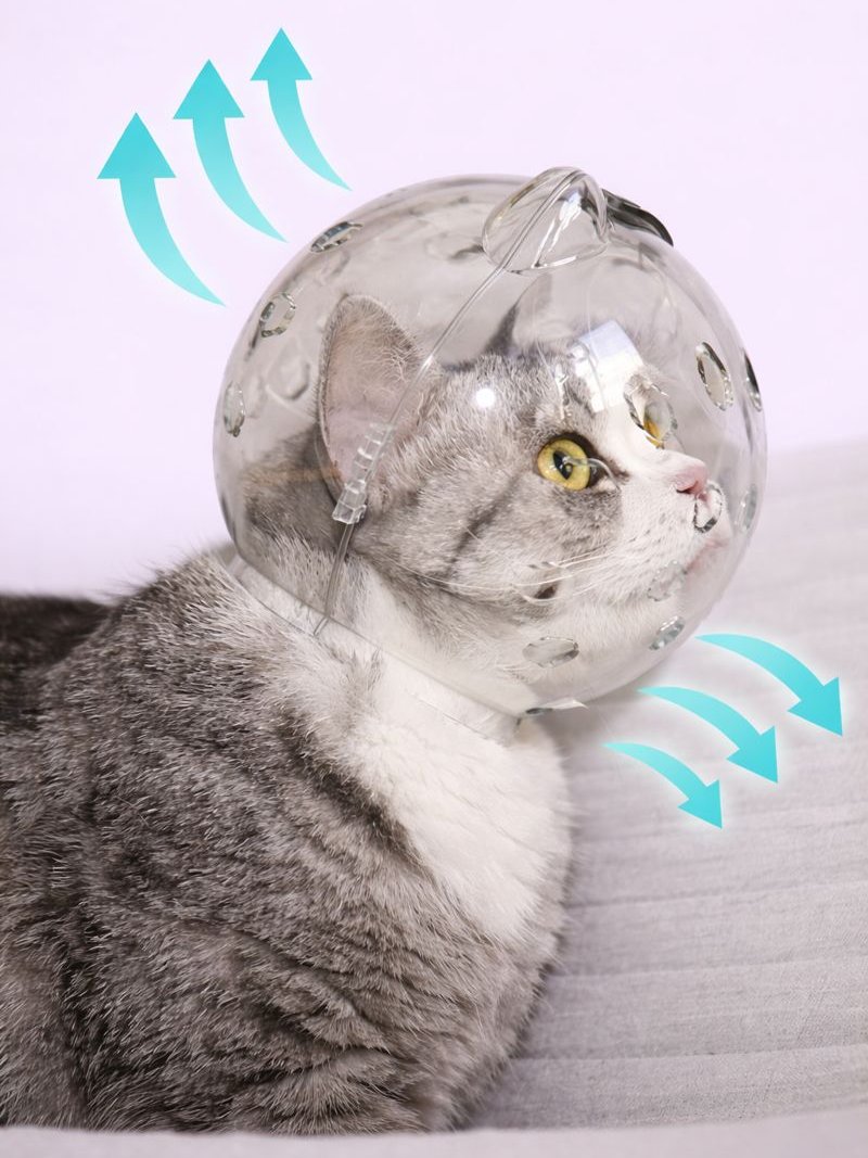 Cat Bubble Helmet and Paw Socks product image (2)