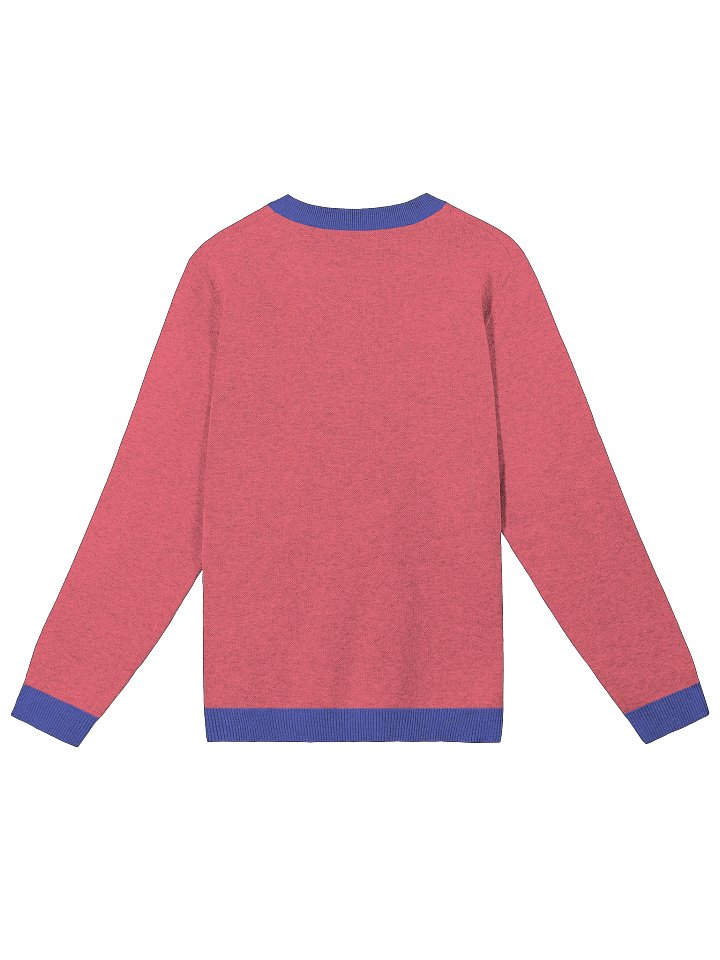 CS Smiley Sweater product image (2)