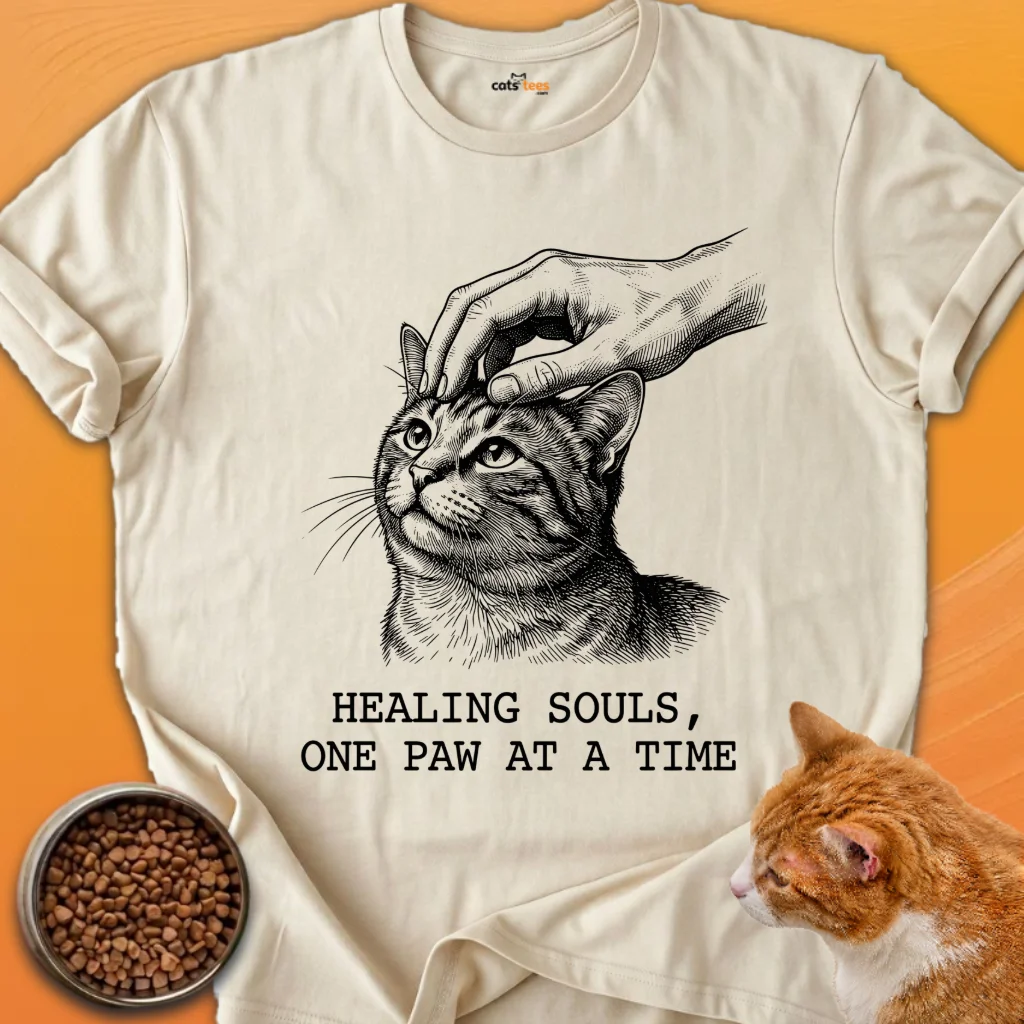 Healing Souls product image (2)