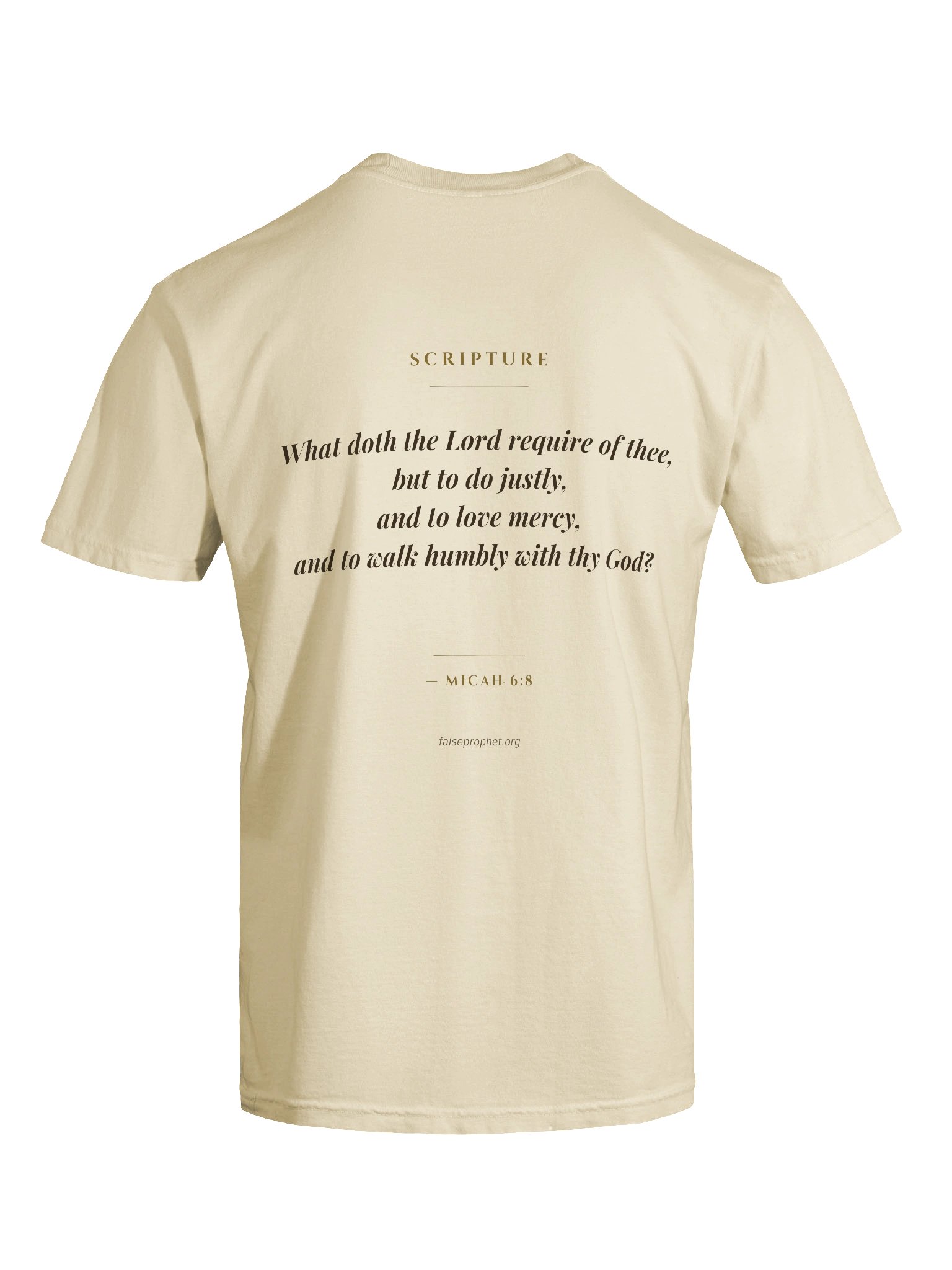 Micah 6:8/Walk Humbly T-Shirt (White) product image (7)