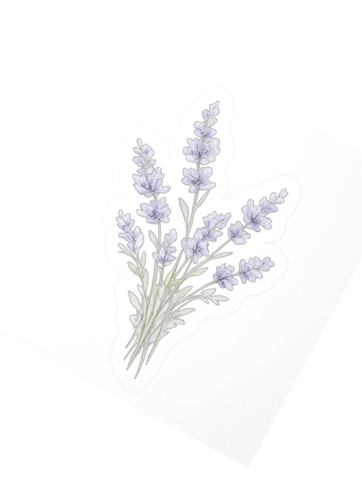 Lavender Drift Sticker — The Meadowlight Wildflower Collection product image (2)