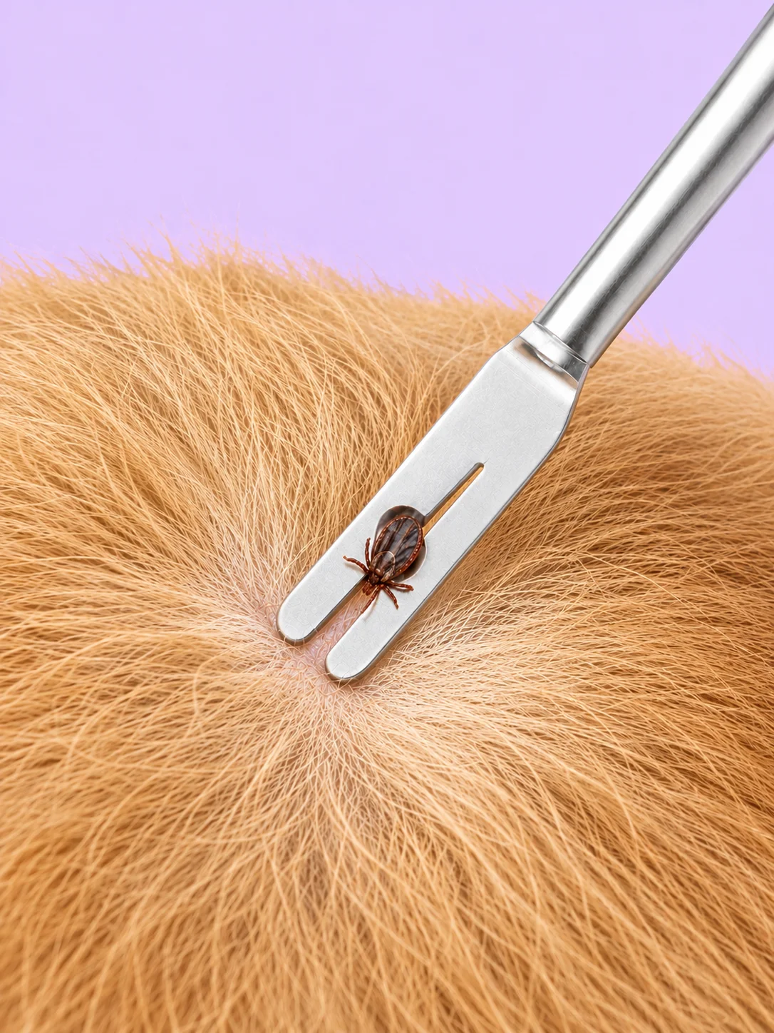Tick and Flea Removal Set product image (2)