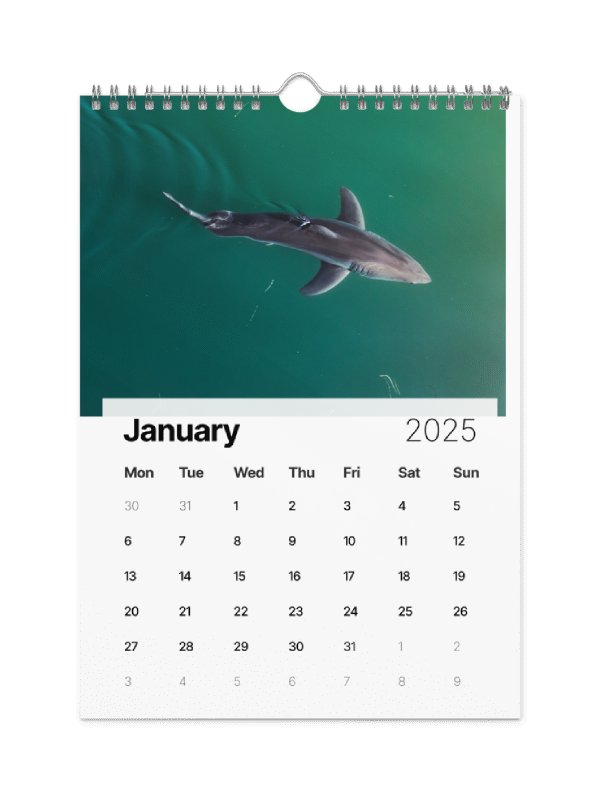 The Malibu Artist 2025 Calendar product image (2)