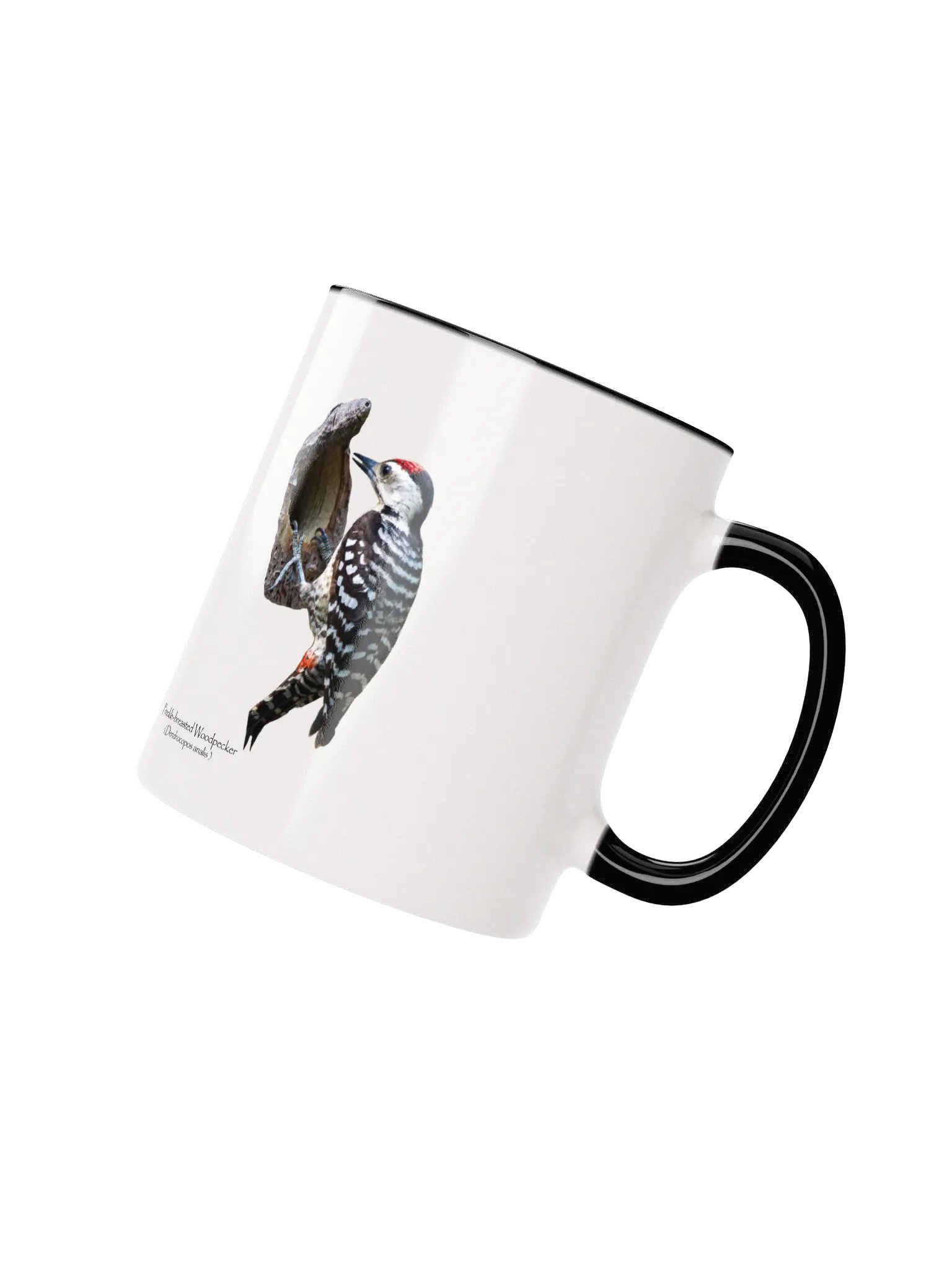Freckle-Breasted Woodpecker mug product image (15)