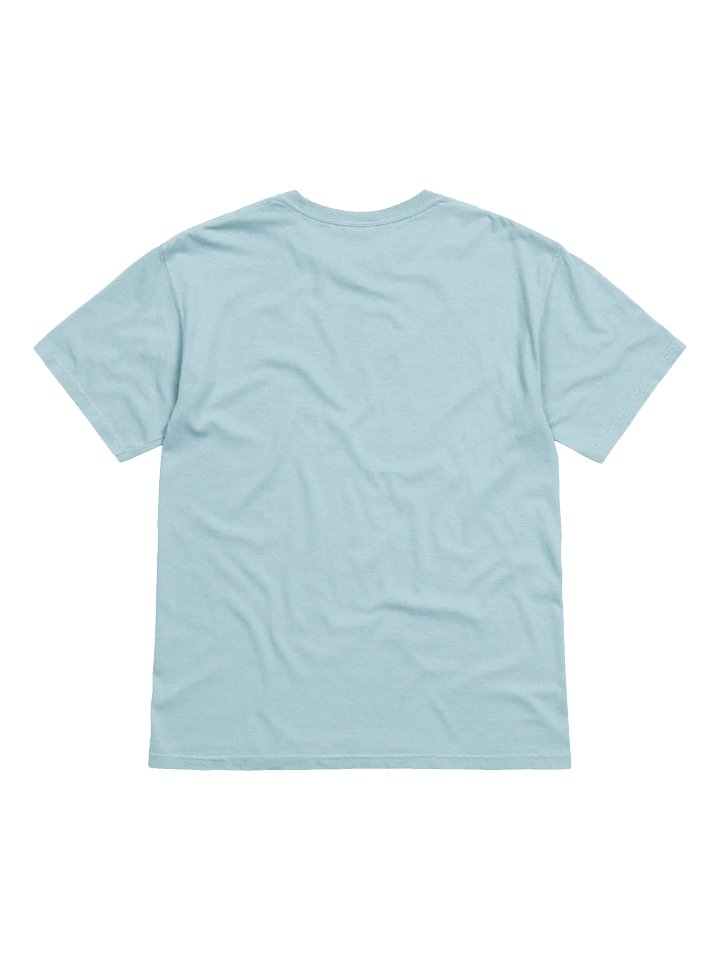 Spirit T-Shirt (Light) product image (5)